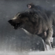 Illustration for article titled emBreaking Dawn/ems wolf-filled concept art deserves a better movie